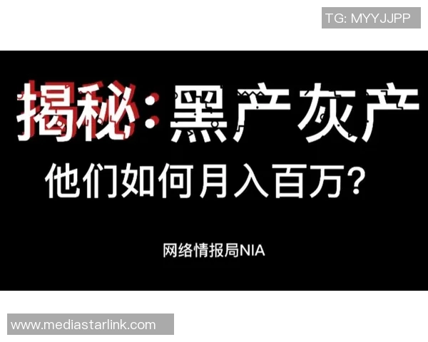 球迷假票事件调查:深度剖析假票背后的黑色产业链及防范对策
